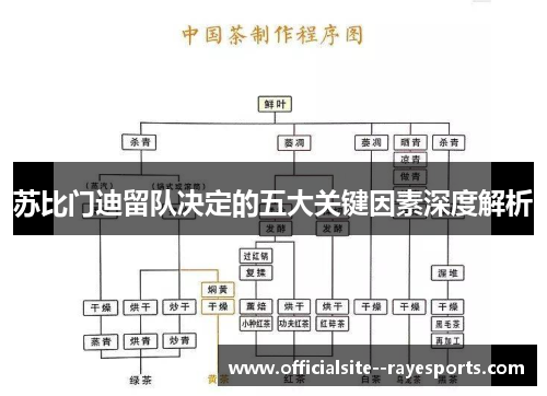 苏比门迪留队决定的五大关键因素深度解析