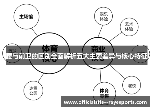 腰与前卫的区别全面解析五大主要差异与核心特征