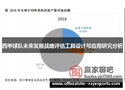 西甲球队未来发展战略评估工具设计与应用研究分析